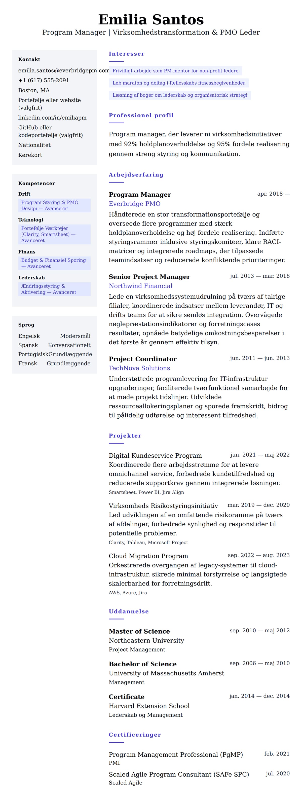 CV-forhåndsvisning for Program Manager CV Eksempel