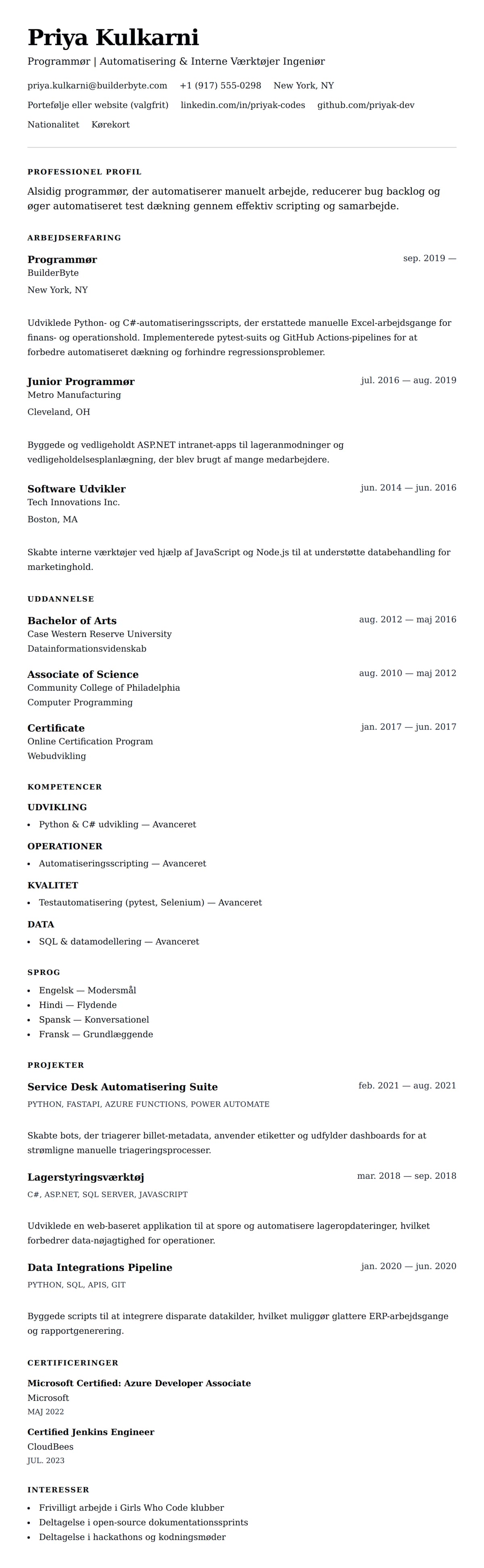 CV-forhåndsvisning for Programmør CV Eksempel