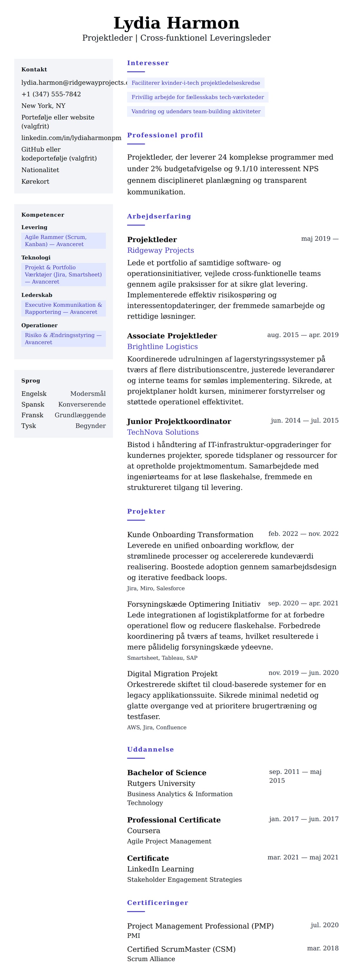 CV-forhåndsvisning for Projektleder CV-eksempel