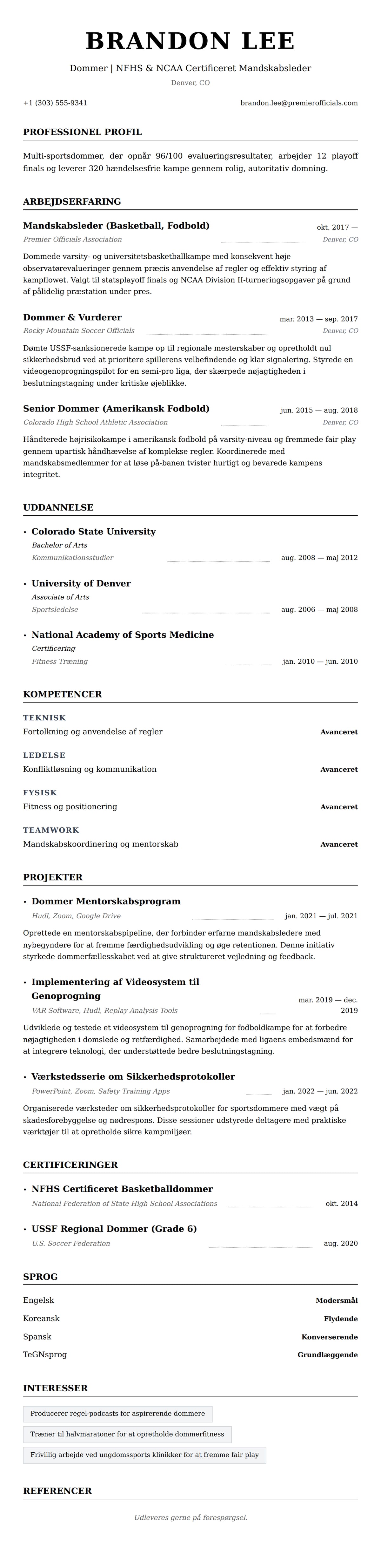 CV-forhåndsvisning for Dommer CV Eksempel
