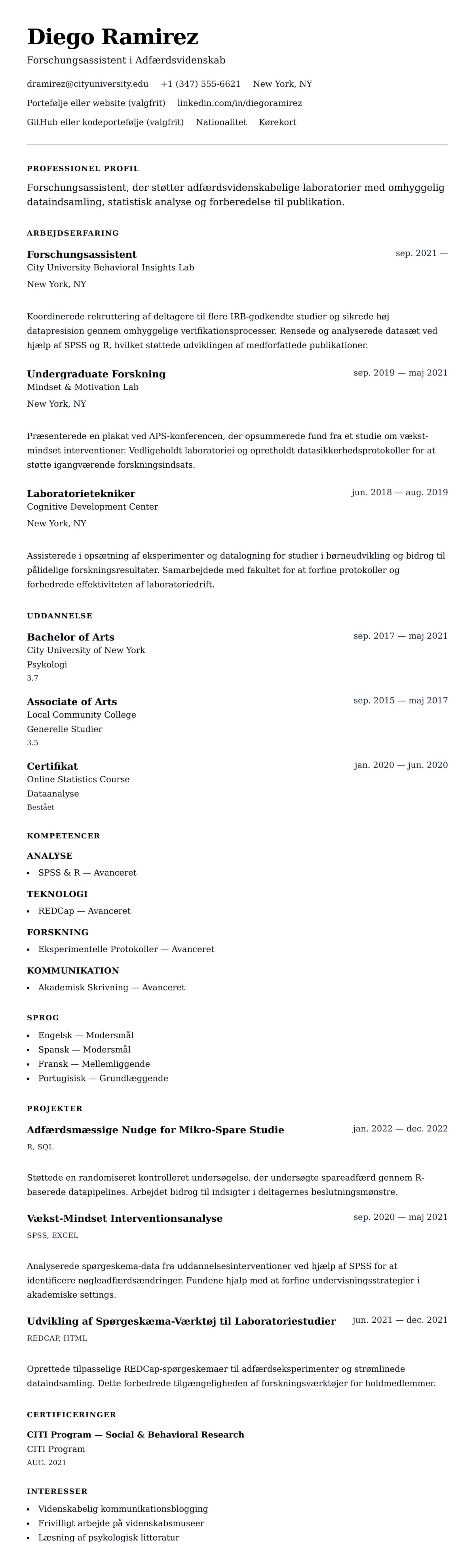 CV-forhåndsvisning for Forschungsassistent CV Eksempel