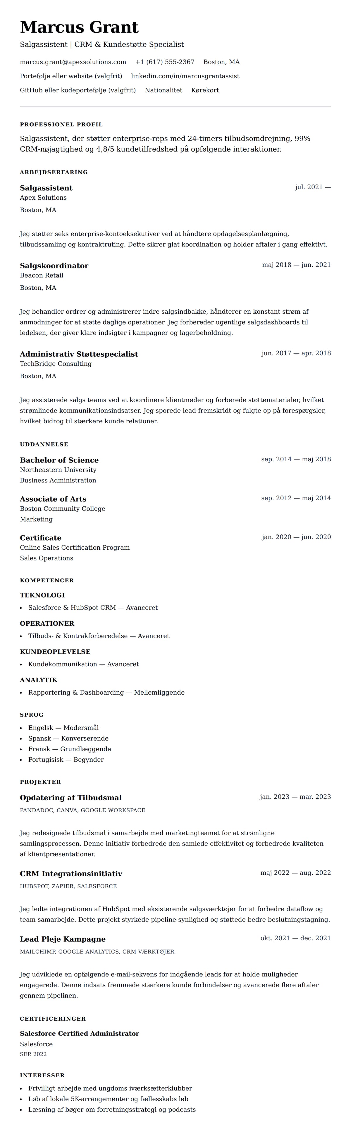 CV-forhåndsvisning for Eksempel på CV for Salgassistent