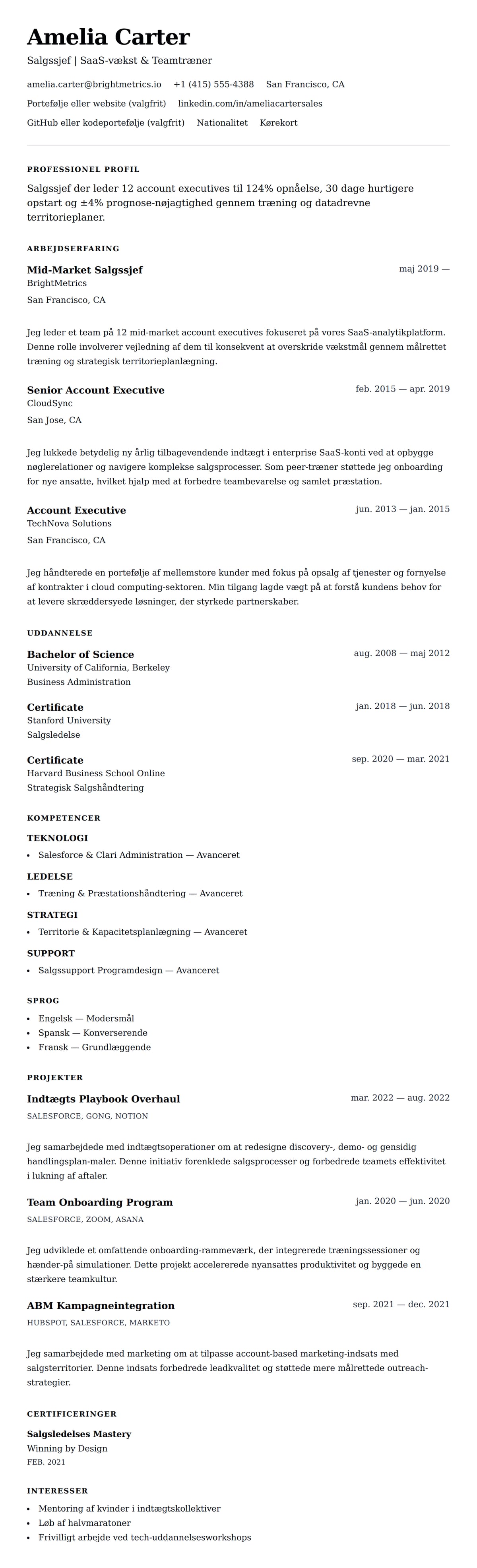 CV-forhåndsvisning for Salgssjef CV-eksempel