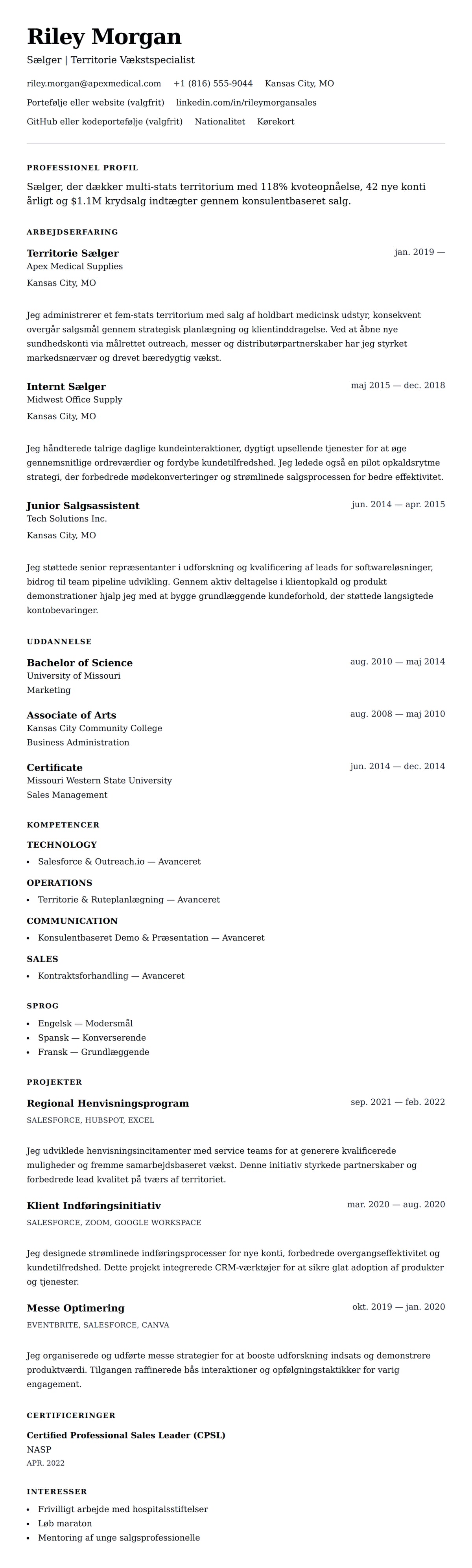 CV-forhåndsvisning for Sælger CV Eksempel
