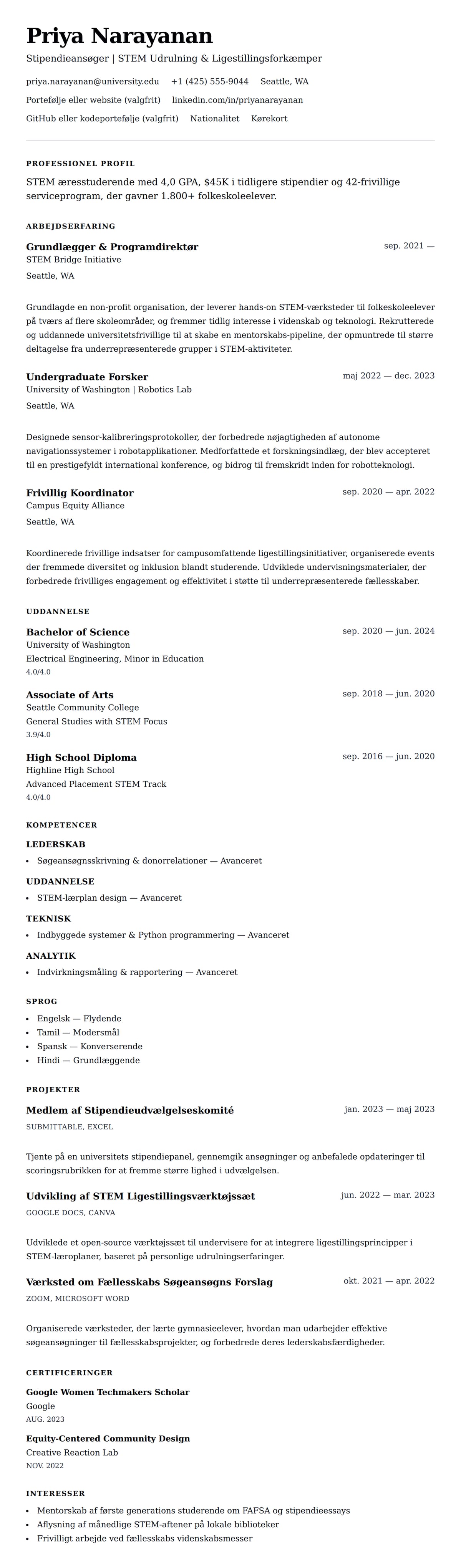 CV-forhåndsvisning for Stipendie CV CV Eksempel