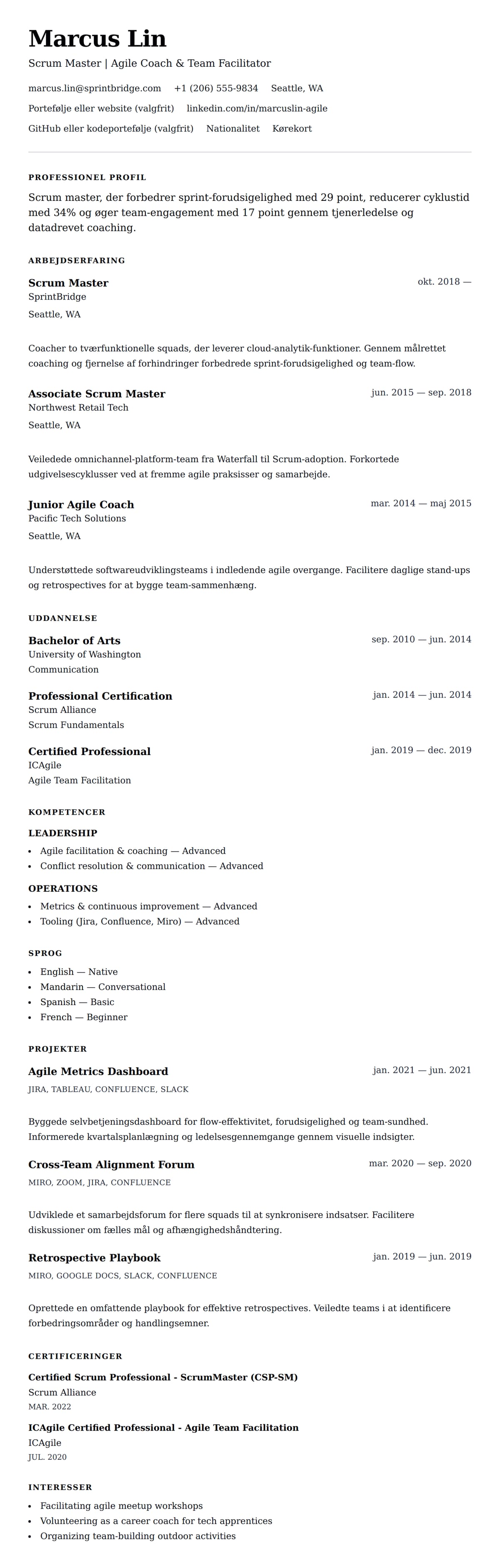 CV-forhåndsvisning for Scrum Master CV-eksempel