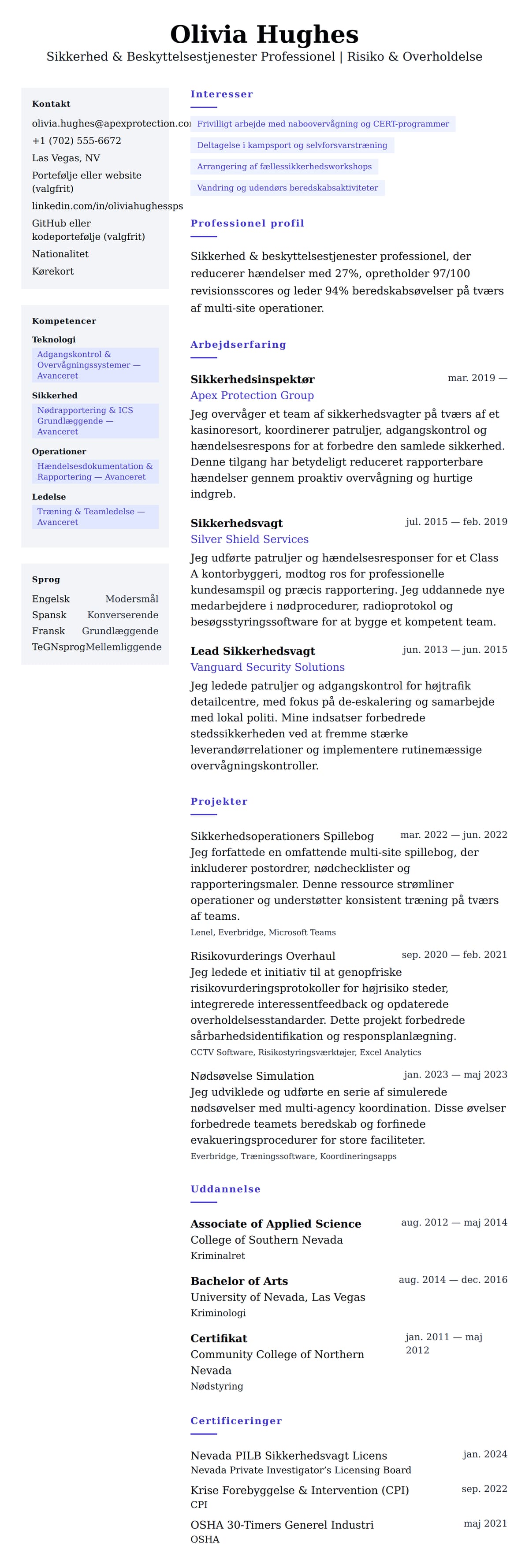 CV-forhåndsvisning for Sikkerhed & Beskyttelsestjenester Professionel CV Eksempel