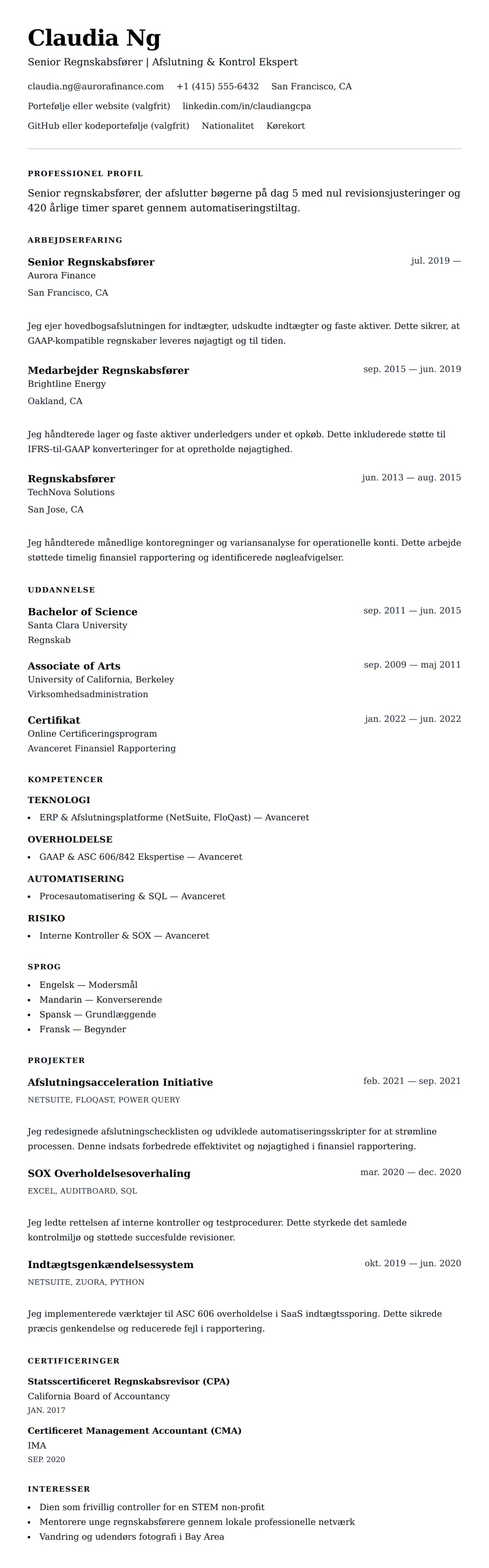 CV-forhåndsvisning for Senior Regnskabsfører CV Eksempel