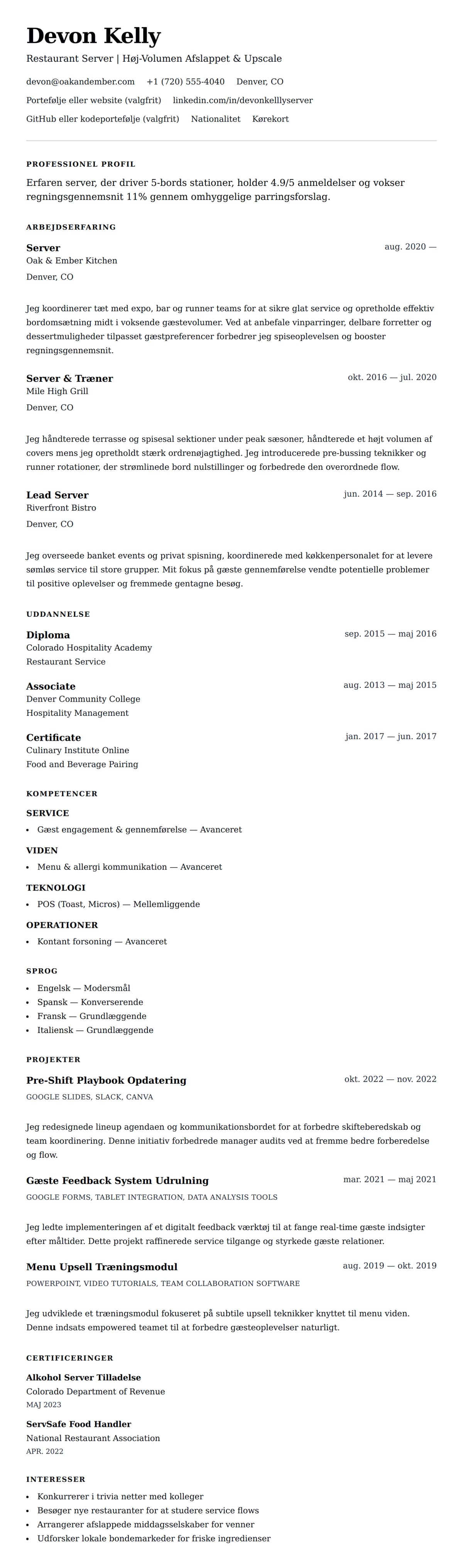 CV-forhåndsvisning for Server CV Eksempel