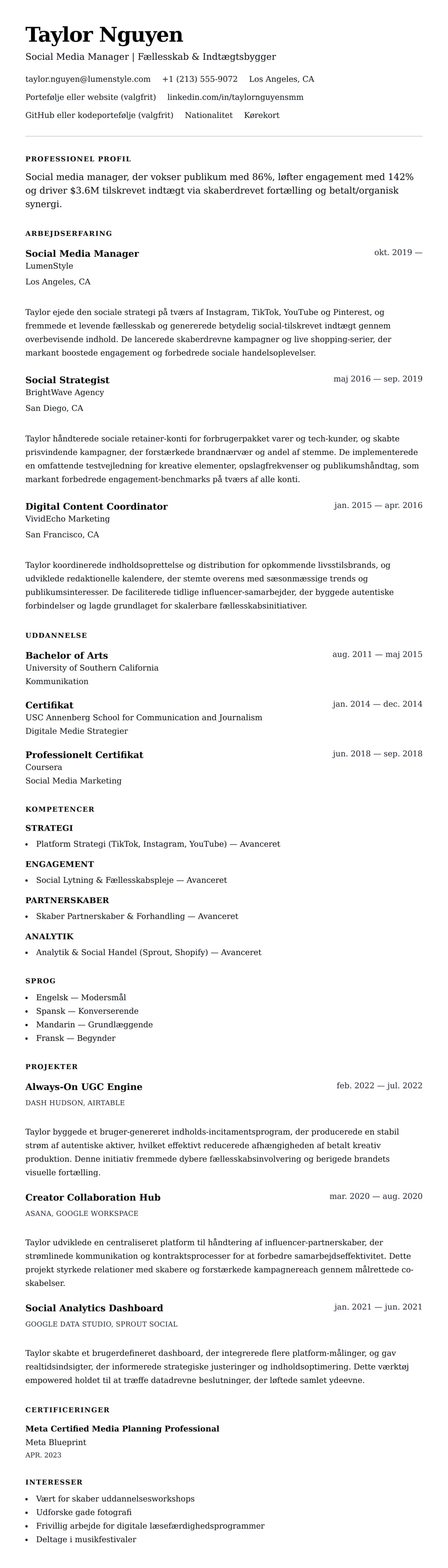 CV-forhåndsvisning for Social Media Manager CV Eksempel