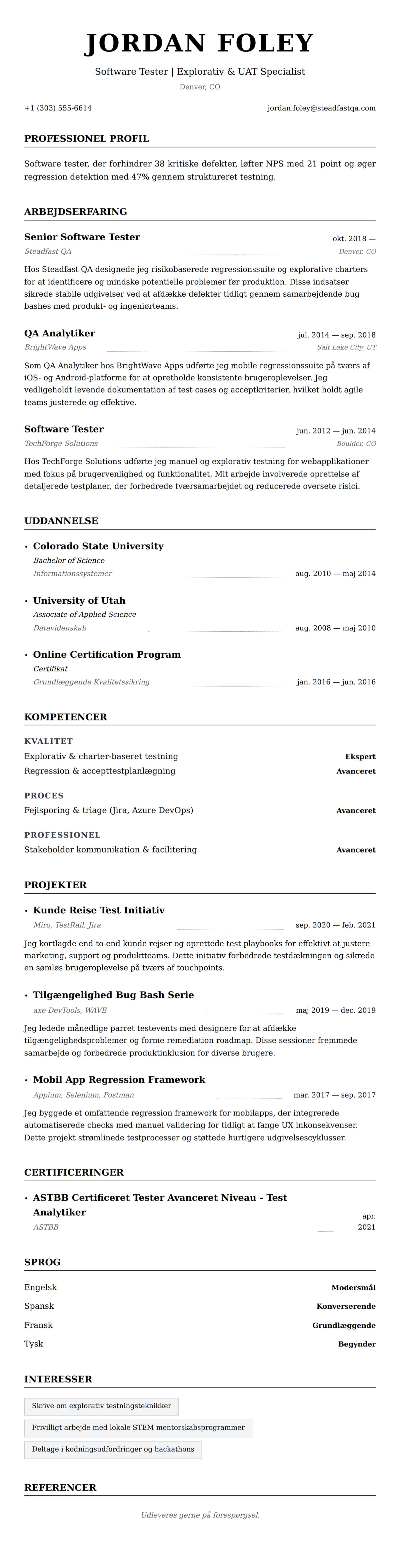 CV-forhåndsvisning for Software Tester CV Eksempel