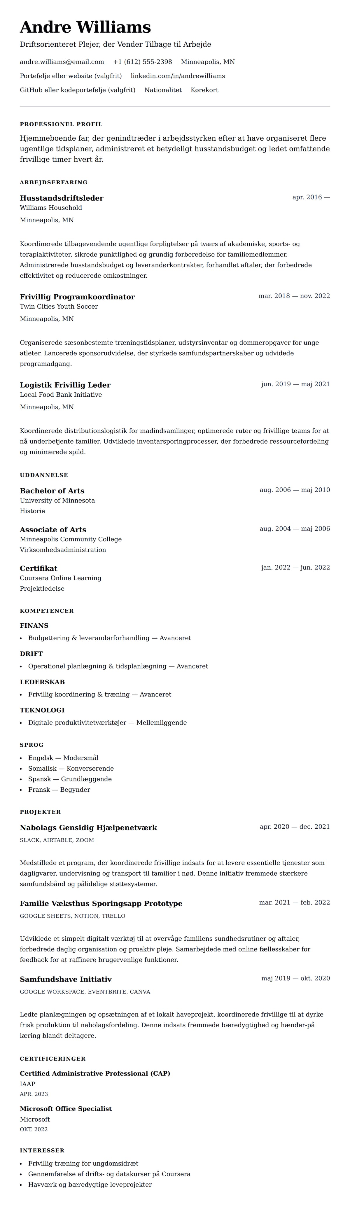 CV-forhåndsvisning for Hjemmeboende Far CV-Eksempel