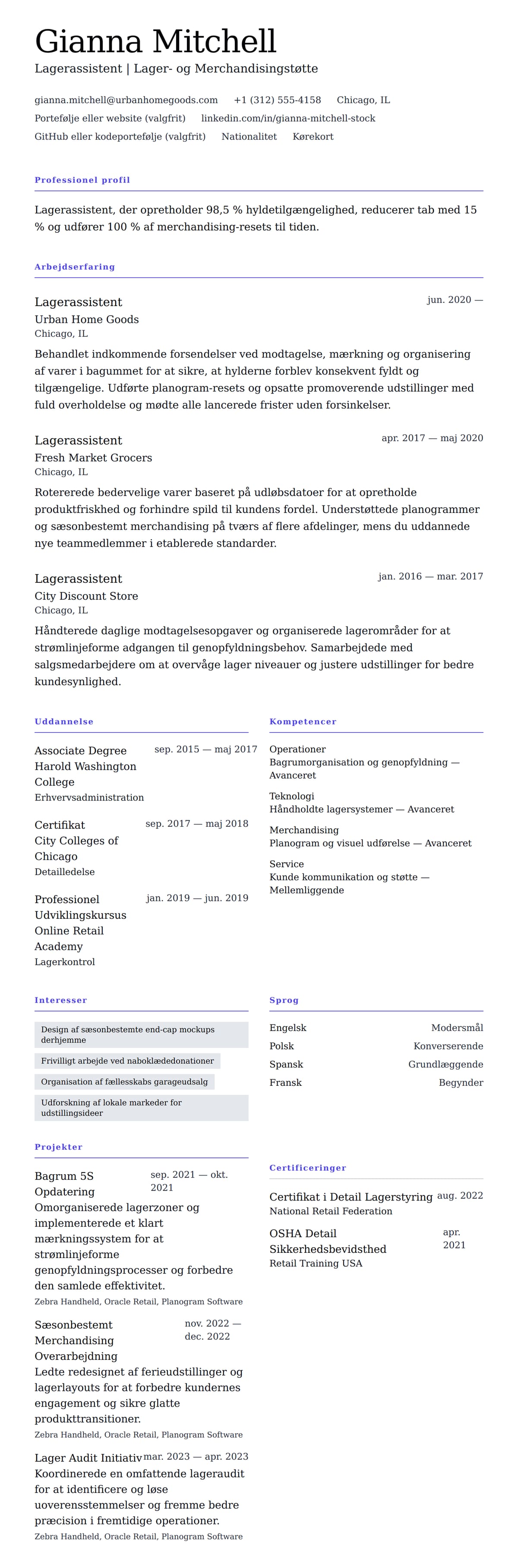 CV-forhåndsvisning for Lagerassistent CV Eksempel