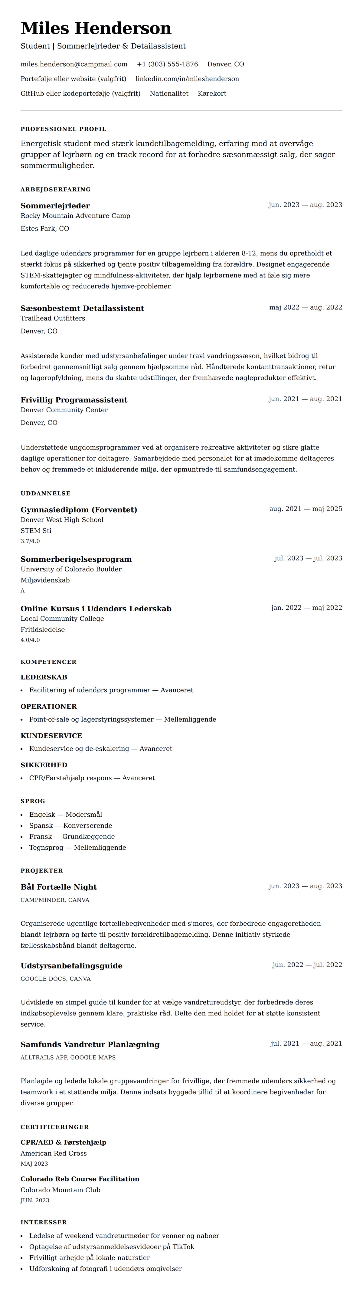 CV-forhåndsvisning for Sommerjob CV Eksempel