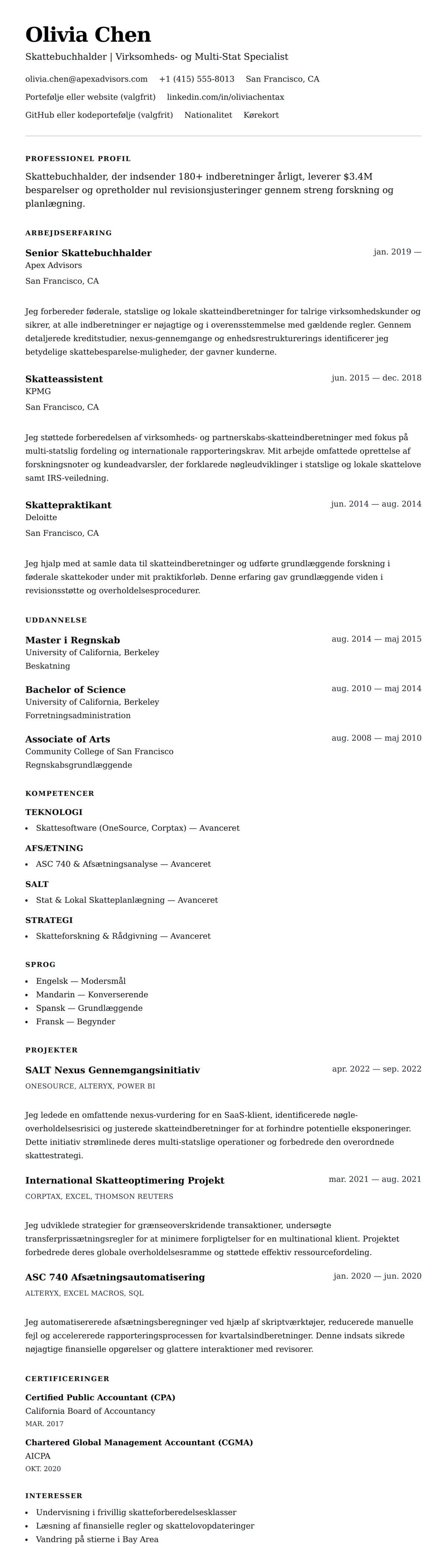 CV-forhåndsvisning for Eksempel på CV for Skattebuchhalder