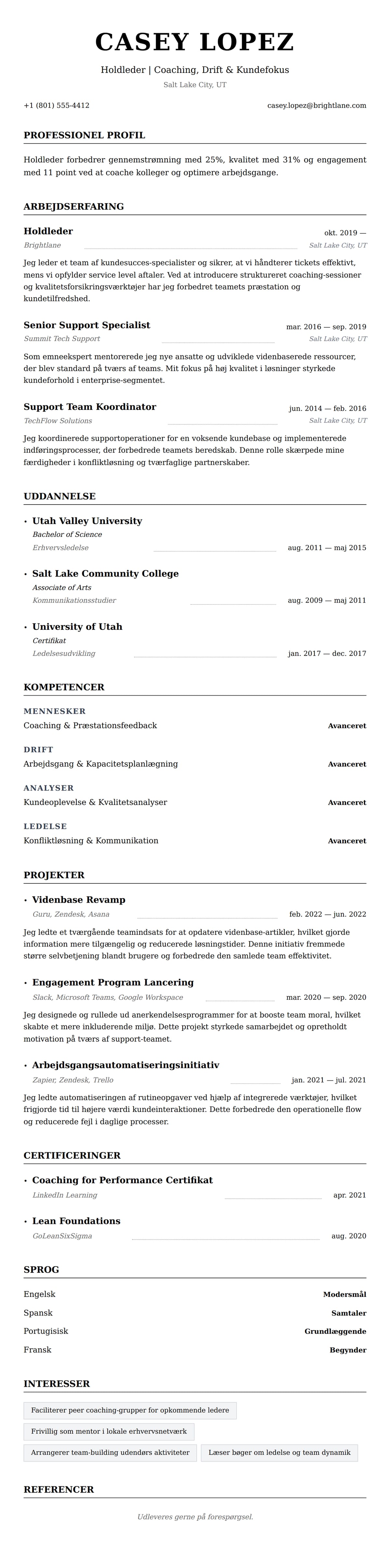 CV-forhåndsvisning for Holdleder CV Eksempel