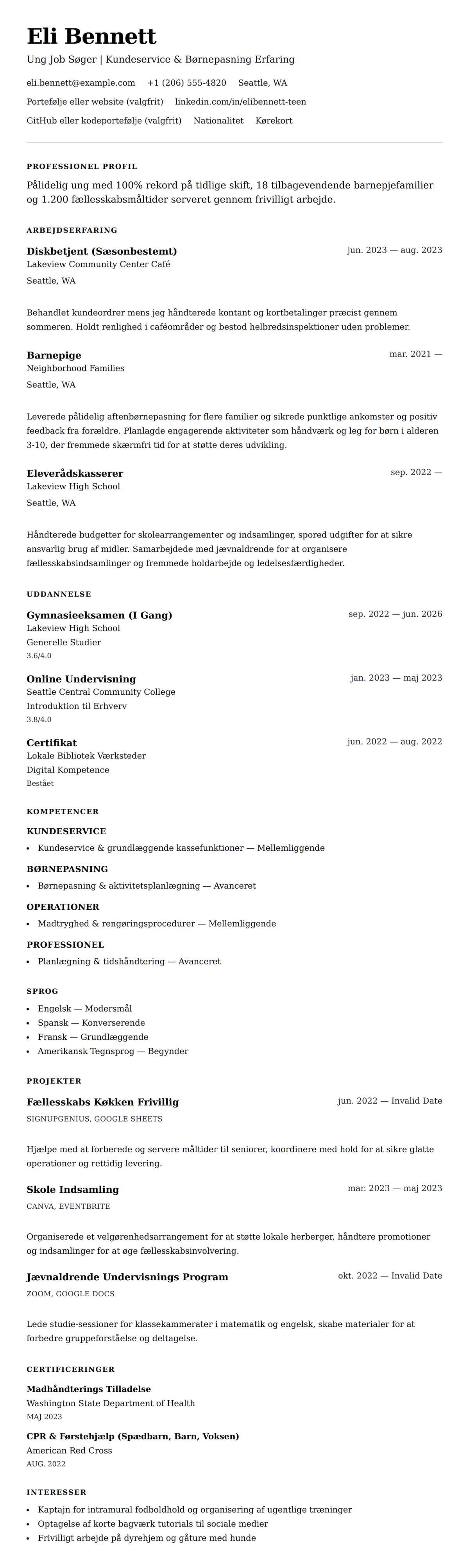 CV-forhåndsvisning for Ung Job Søger CV Eksempel