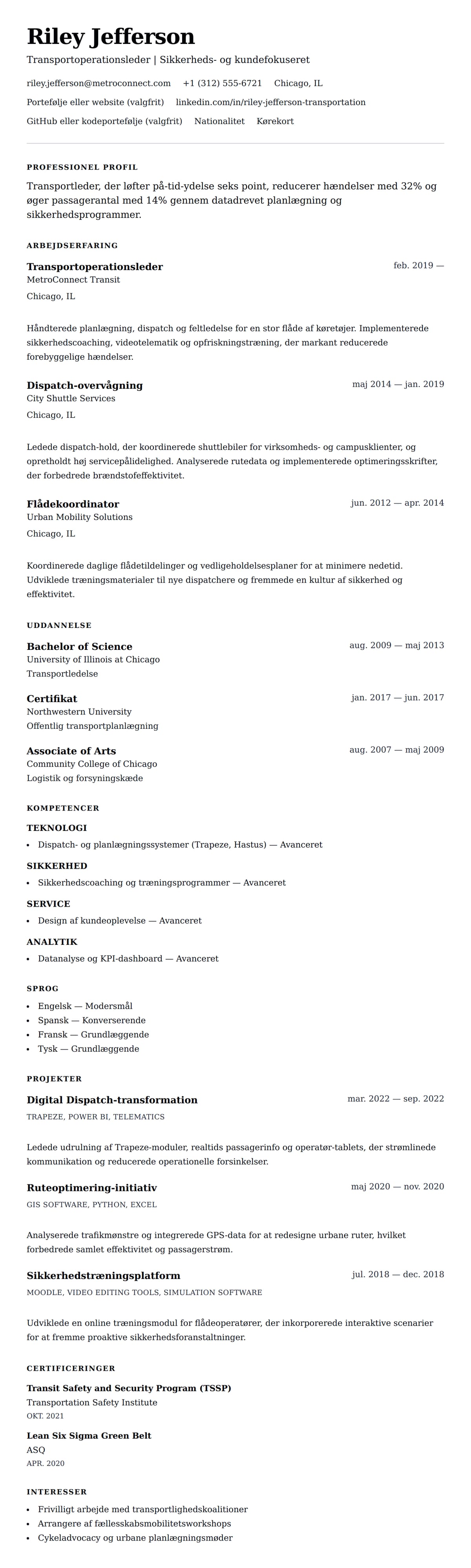 CV-forhåndsvisning for Transportprofessionel CV Eksempel
