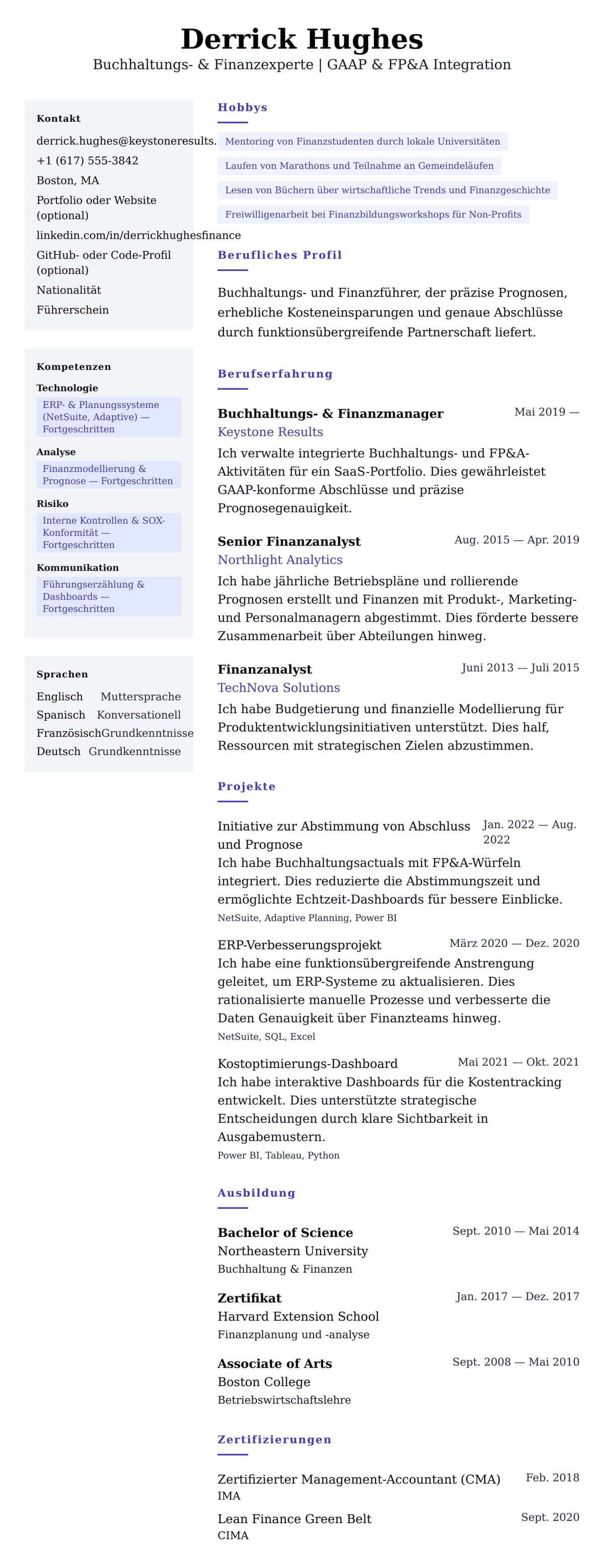 Lebenslaufvorschau für Beispiel-Lebenslauf für Buchhaltungs- und Finanzexperten