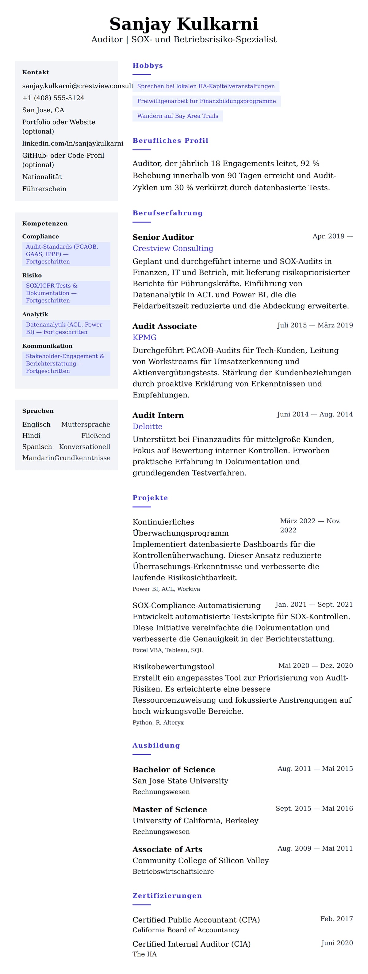 Lebenslaufvorschau für Auditor Lebenslauf Beispiel