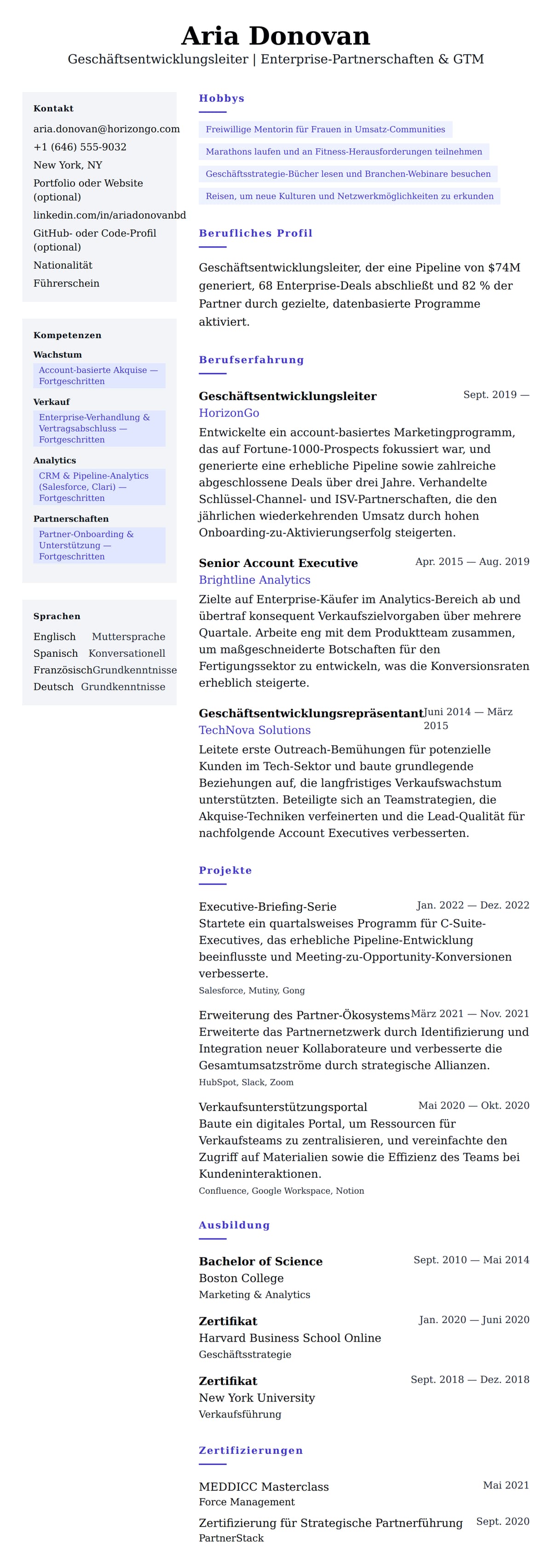 Lebenslaufvorschau für Lebenslaufbeispiel für Geschäftsentwicklungsleiter