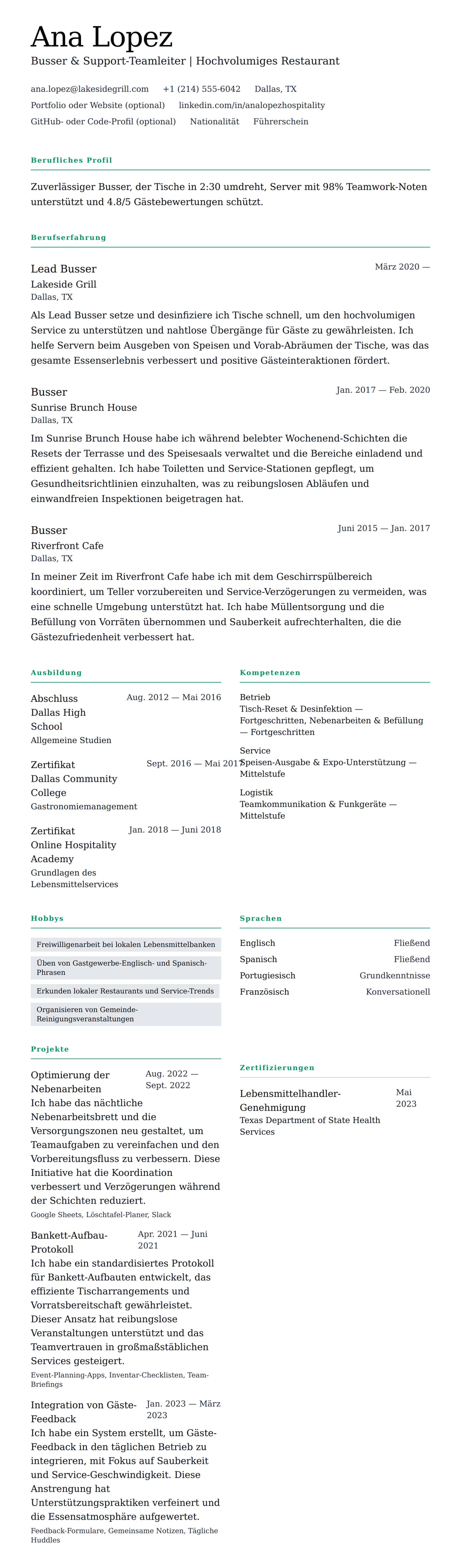 Lebenslaufvorschau für Busser-Lebenslauf-Beispiel