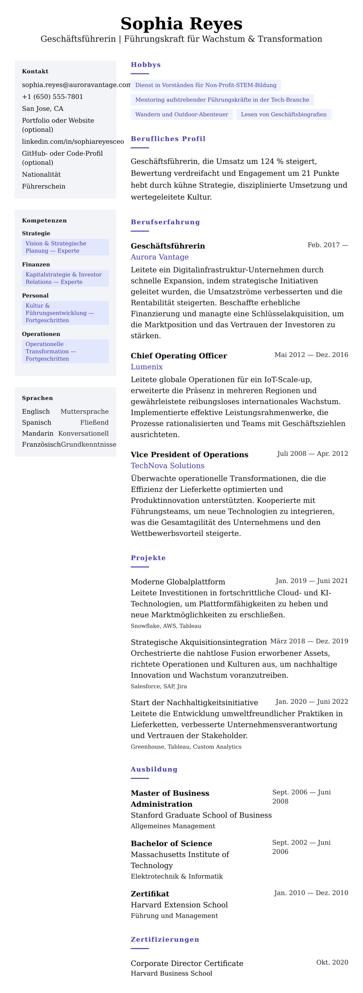 Lebenslaufvorschau für Lebenslaufbeispiel für einen Geschäftsführer