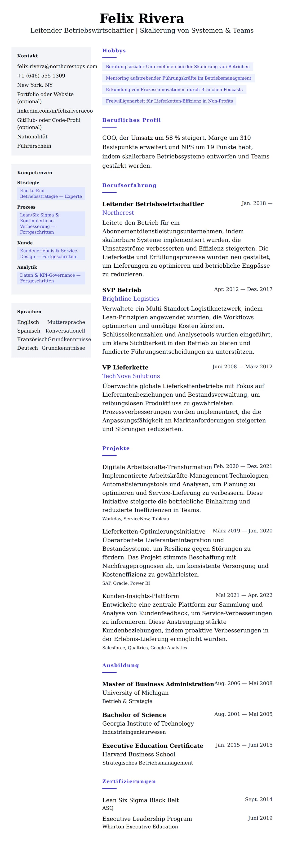 Lebenslaufvorschau für Leitender Betriebswirtschaftler Lebenslauf-Beispiel