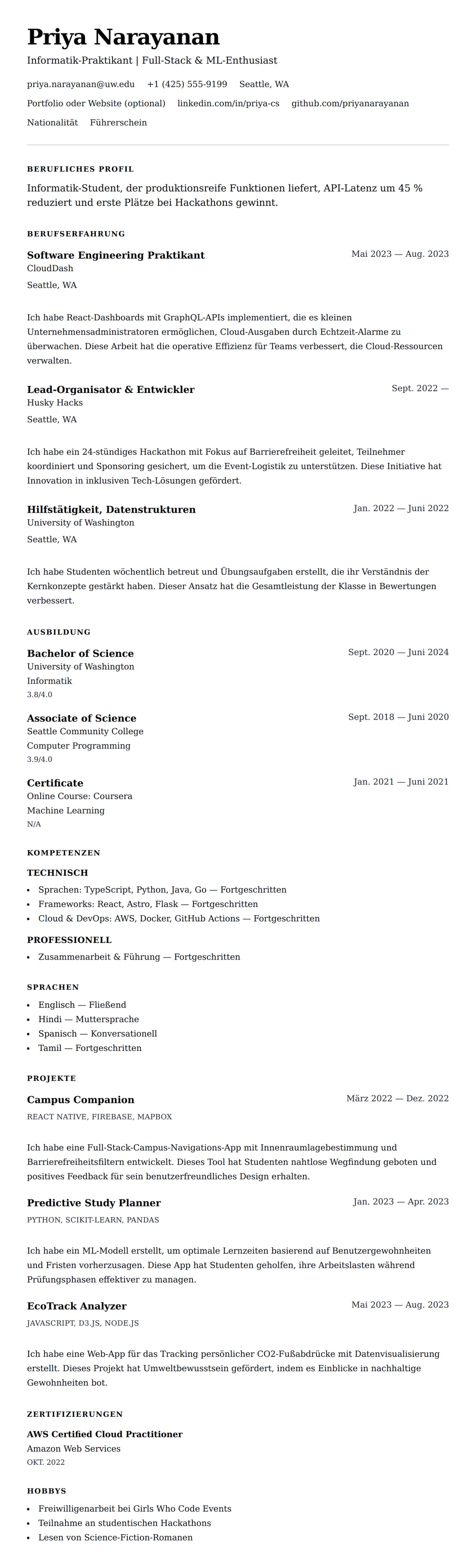 Lebenslaufvorschau für Informatik-Praktikum Lebenslauf-Beispiel