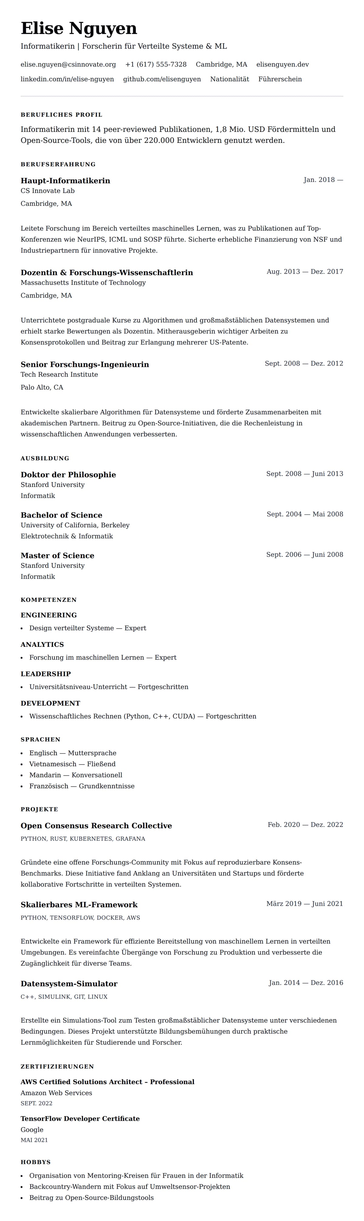 Lebenslaufvorschau für Lebenslauf-Beispiel für Informatik-Experten