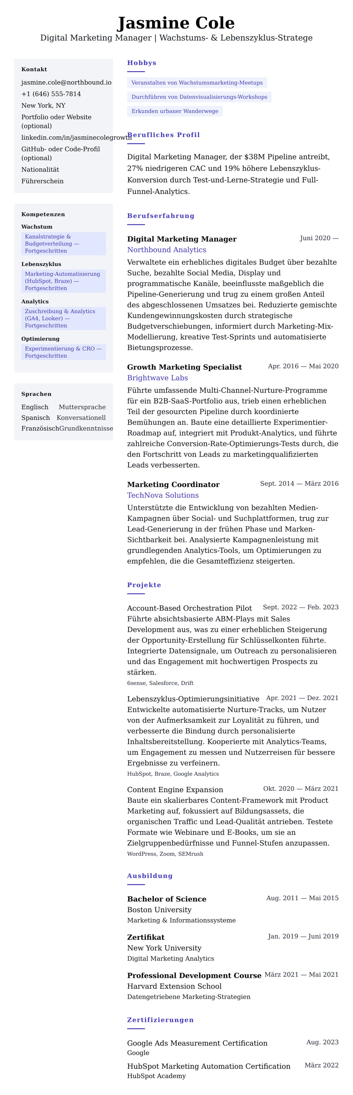 Lebenslaufvorschau für Lebenslaufbeispiel für Digital Marketing Manager