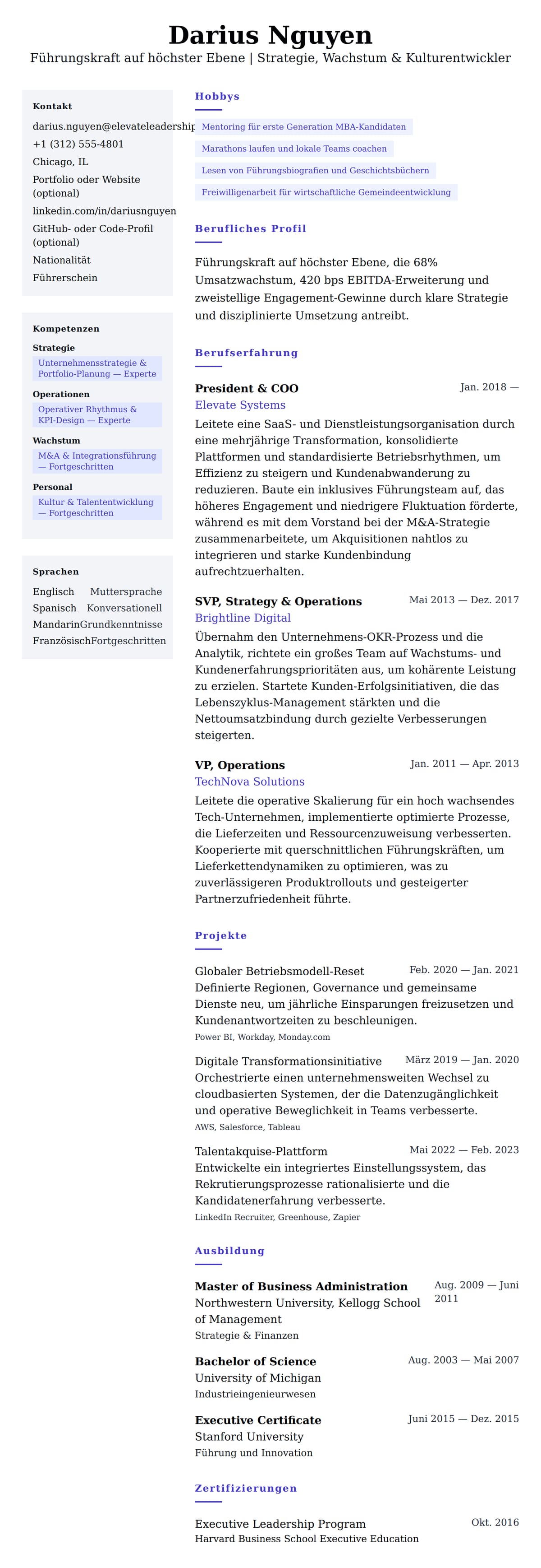Lebenslaufvorschau für Lebenslaufbeispiel für Führungskraft auf höchster Ebene