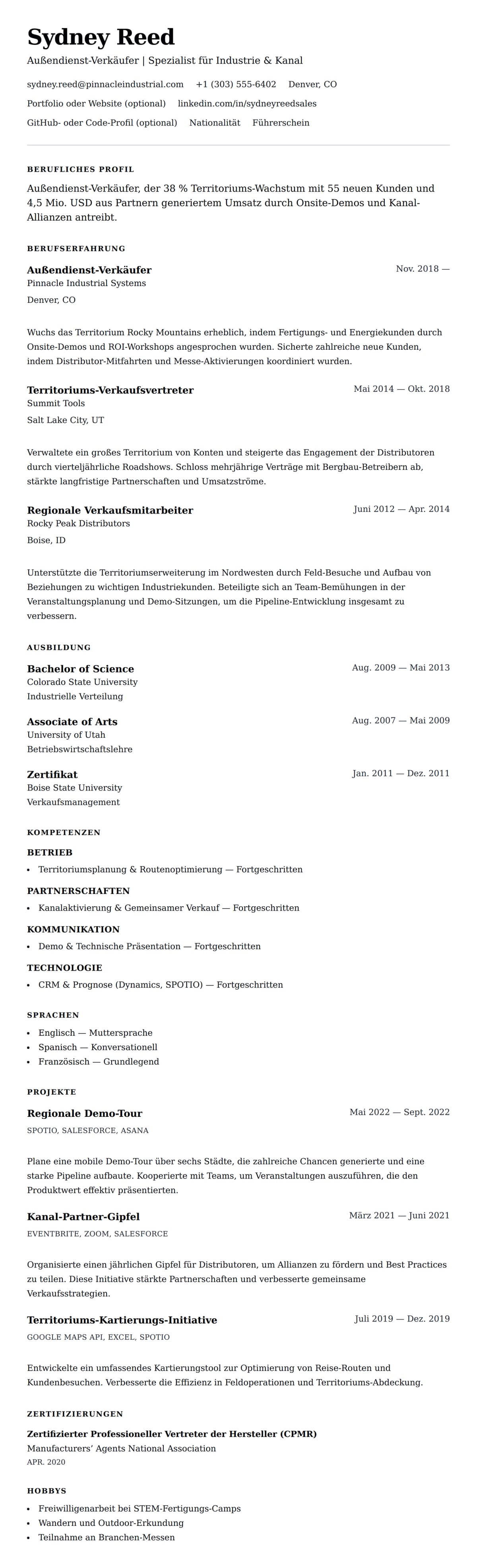Lebenslaufvorschau für Beispiel-Lebenslauf für Außendienst-Verkäufer