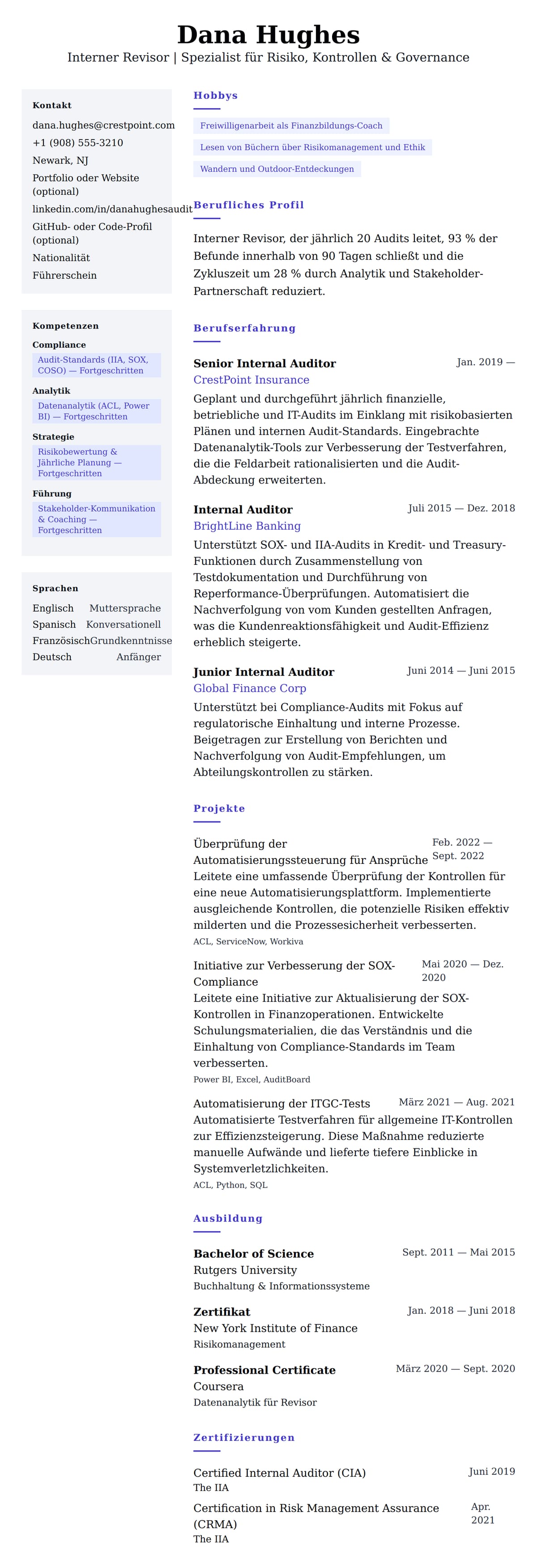 Lebenslaufvorschau für Beispiel-Lebenslauf für Internen Revisor
