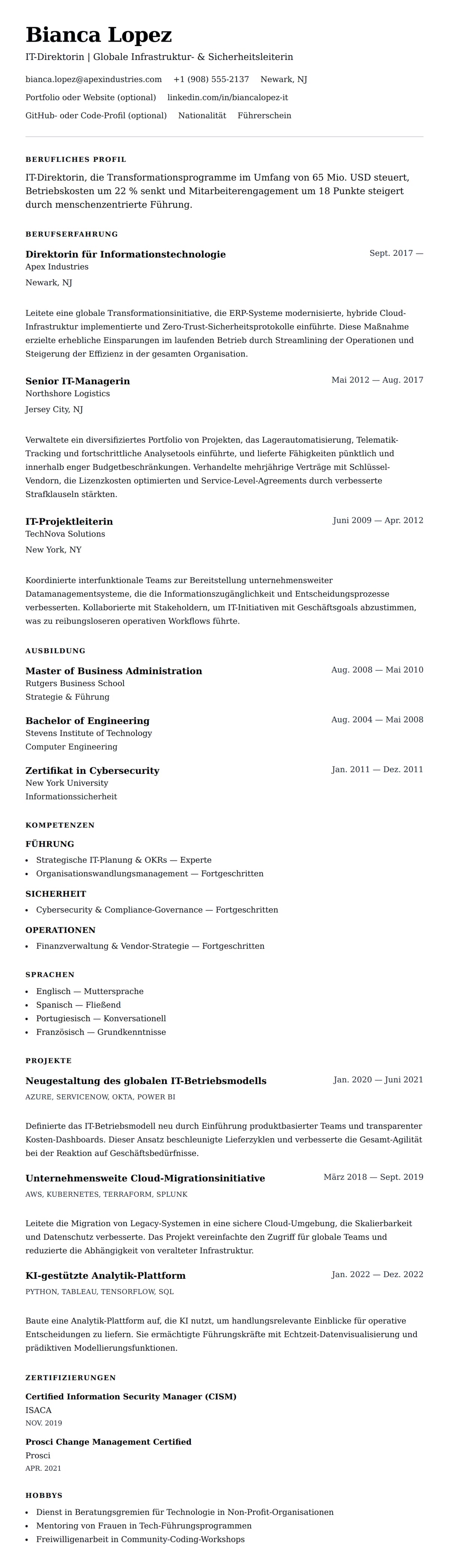 Lebenslaufvorschau für IT-Direktor Lebenslaufbeispiel
