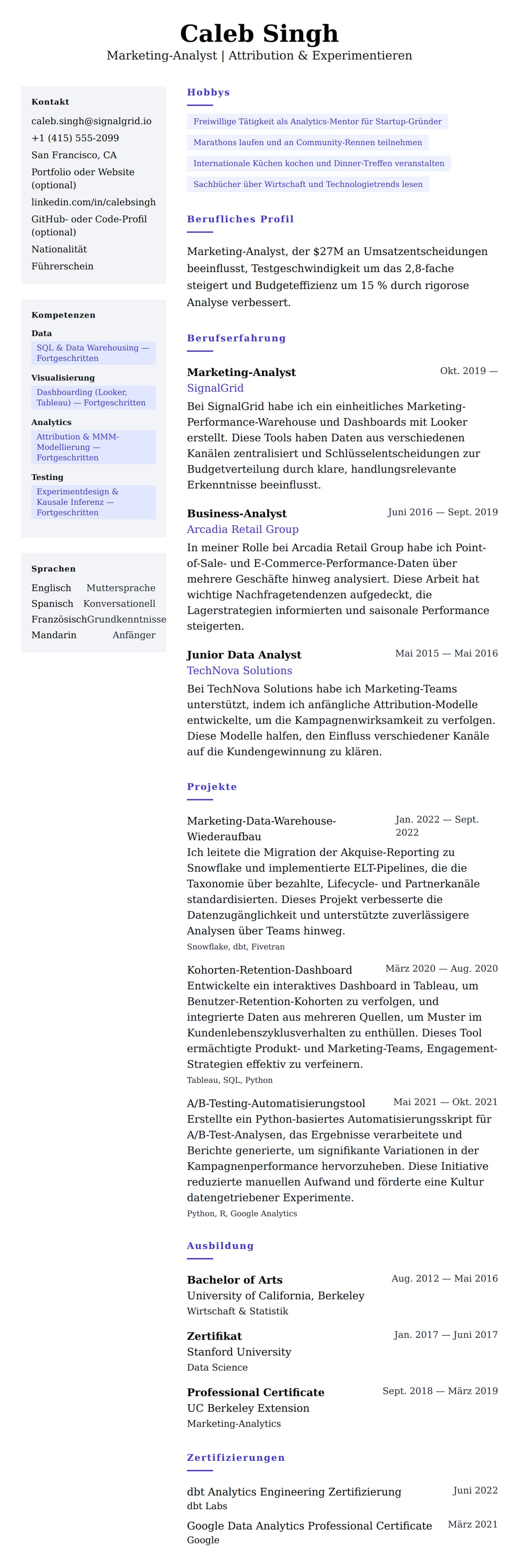 Lebenslaufvorschau für Marketing-Analyst Lebenslauf-Beispiel