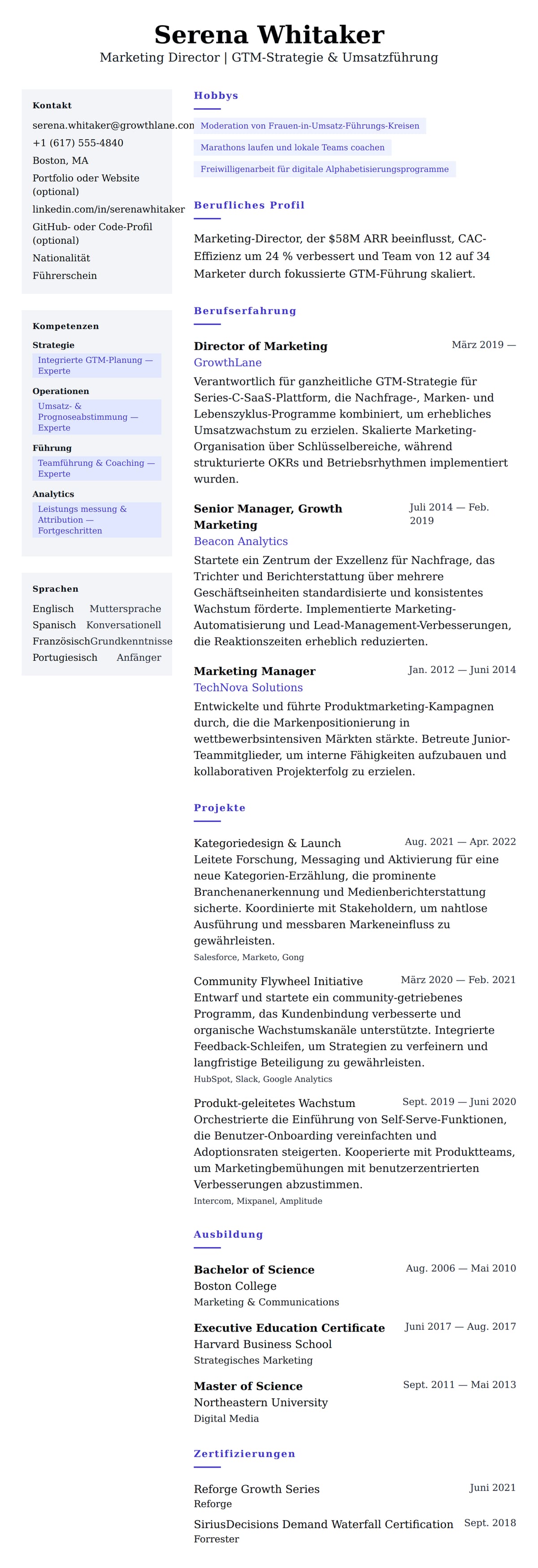 Lebenslaufvorschau für Marketing Director Lebenslauf-Beispiel