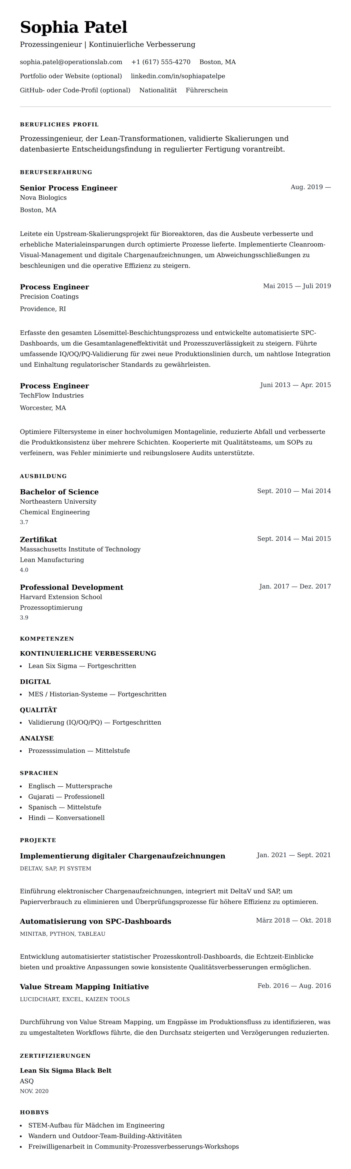 Lebenslaufvorschau für Prozessingenieur Lebenslauf-Beispiel