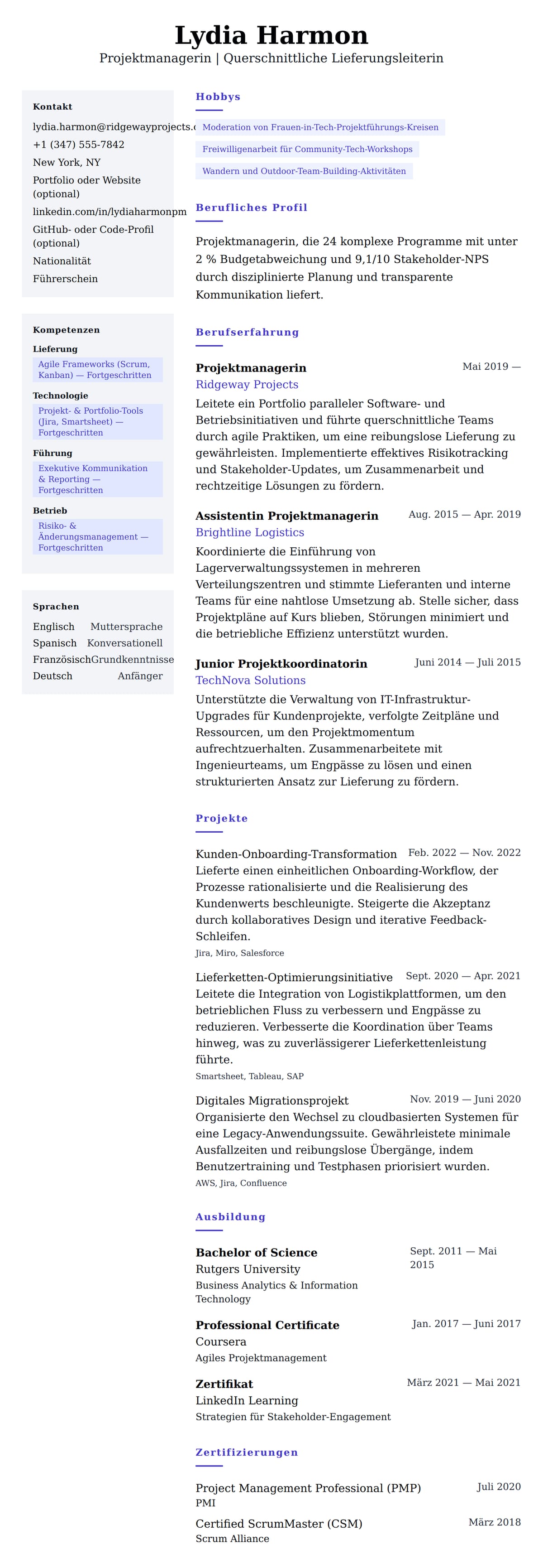 Lebenslaufvorschau für Projektmanager Lebenslaufbeispiel