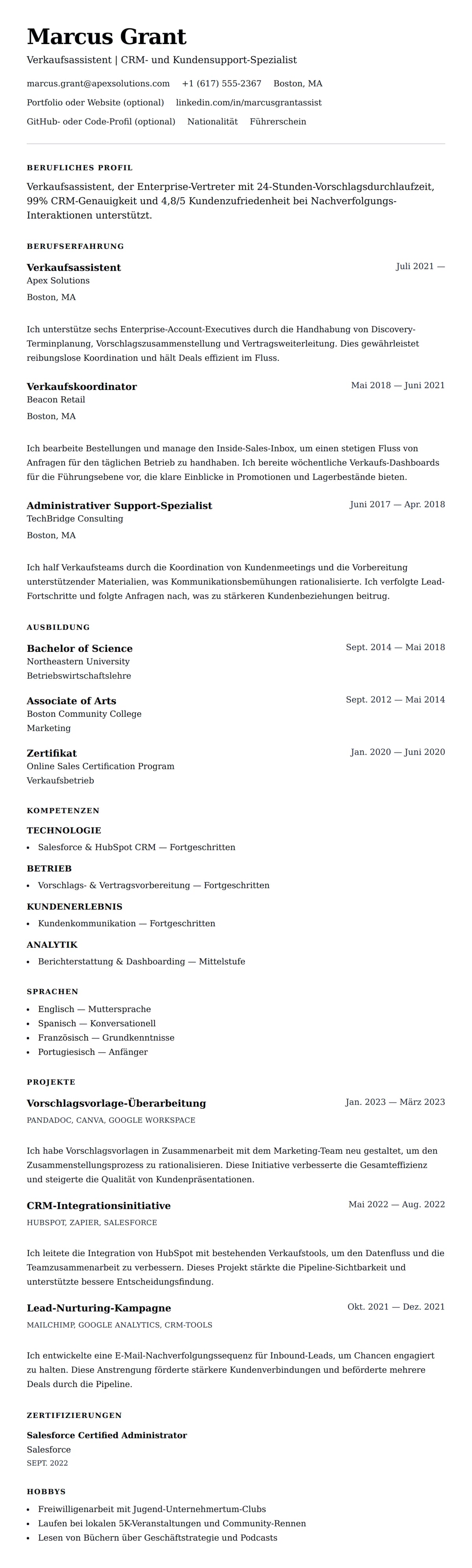 Lebenslaufvorschau für Verkaufsassistent Lebenslaufbeispiel