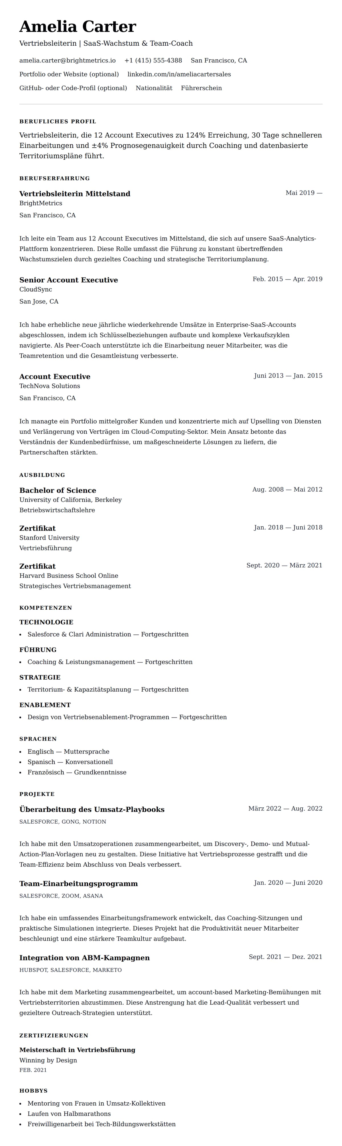 Lebenslaufvorschau für Lebenslaufbeispiel für Vertriebsleiter