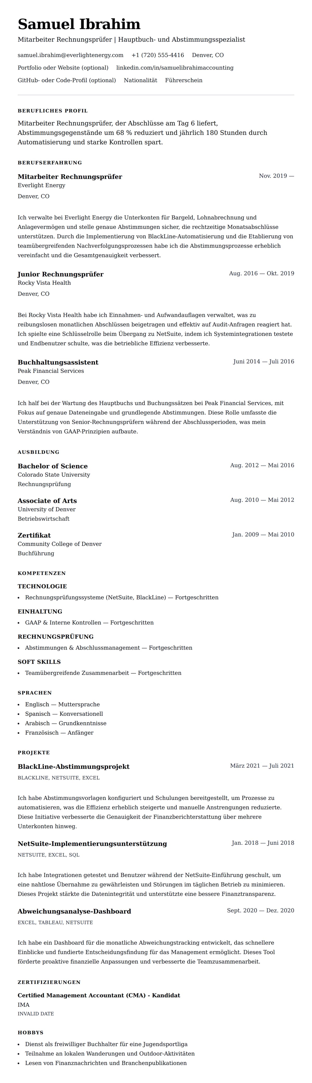 Lebenslaufvorschau für Lebenslaufbeispiel für Mitarbeiter Rechnungsprüfer