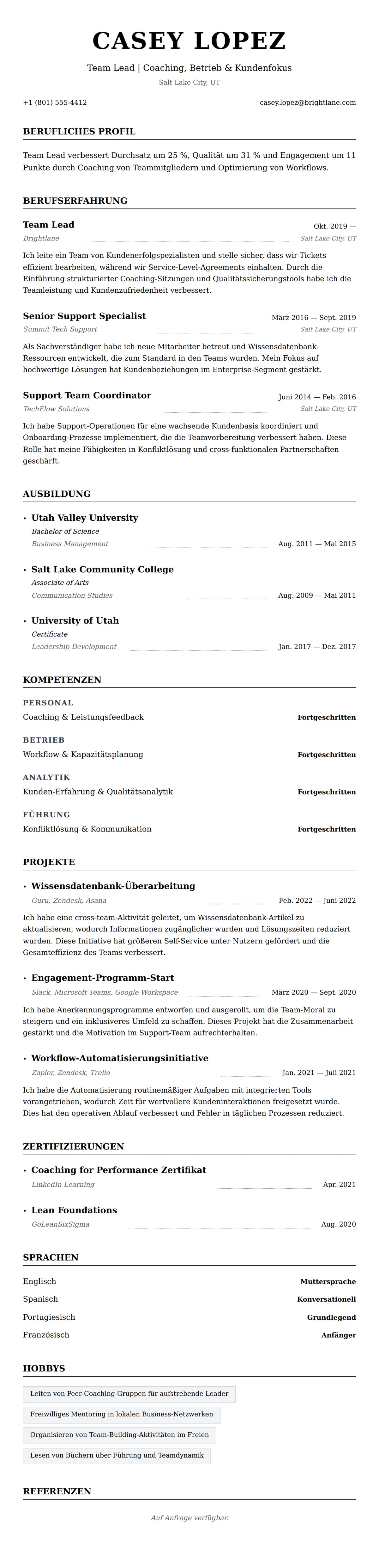 Lebenslaufvorschau für Team Lead Lebenslauf-Beispiel