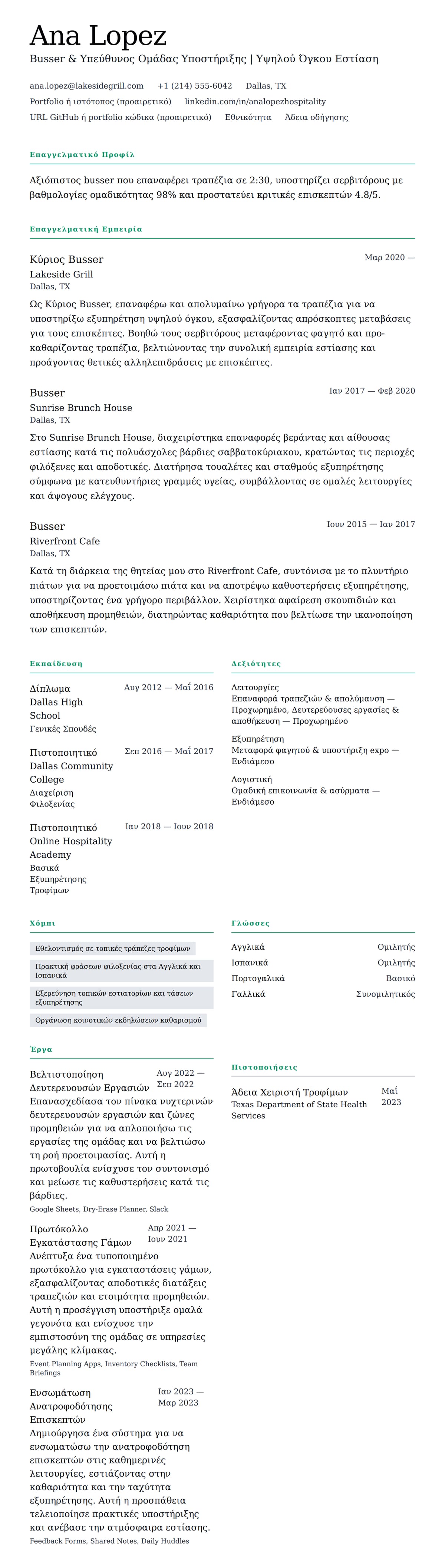 Προεπισκόπηση βιογραφικού για Παράδειγμα Βιογραφικού Busser