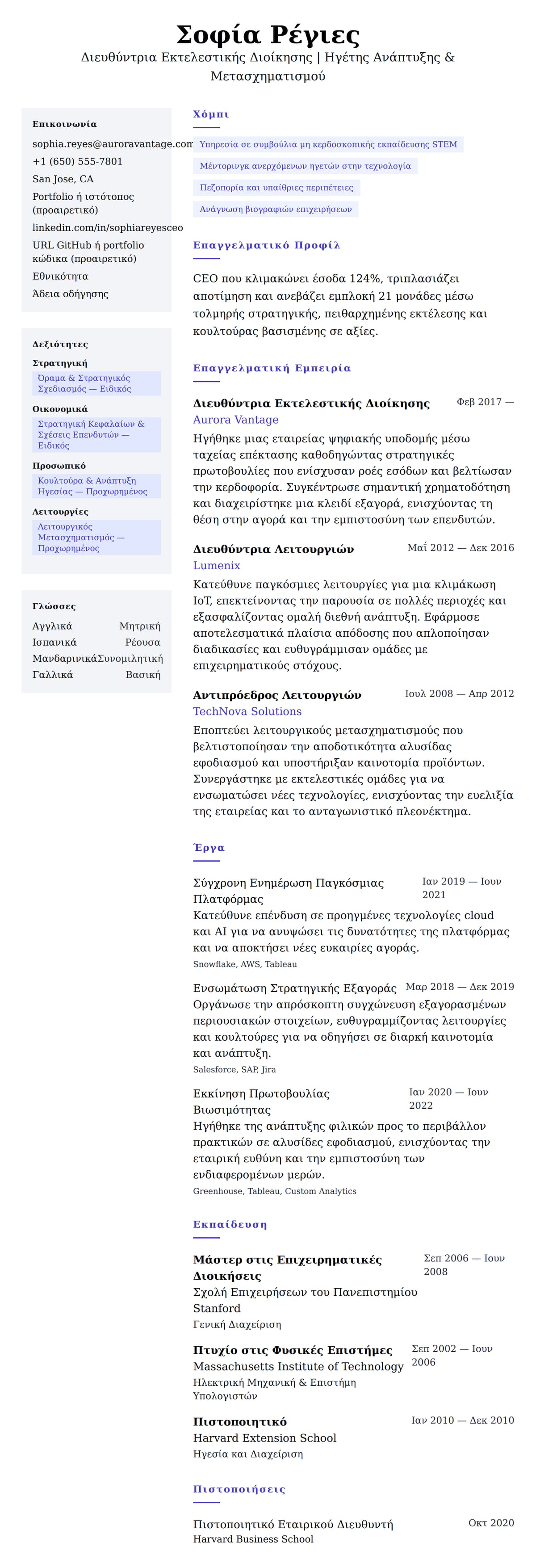 Προεπισκόπηση βιογραφικού για Παράδειγμα Βιογραφικού Διευθυντή Εκτελεστικής Διοίκησης