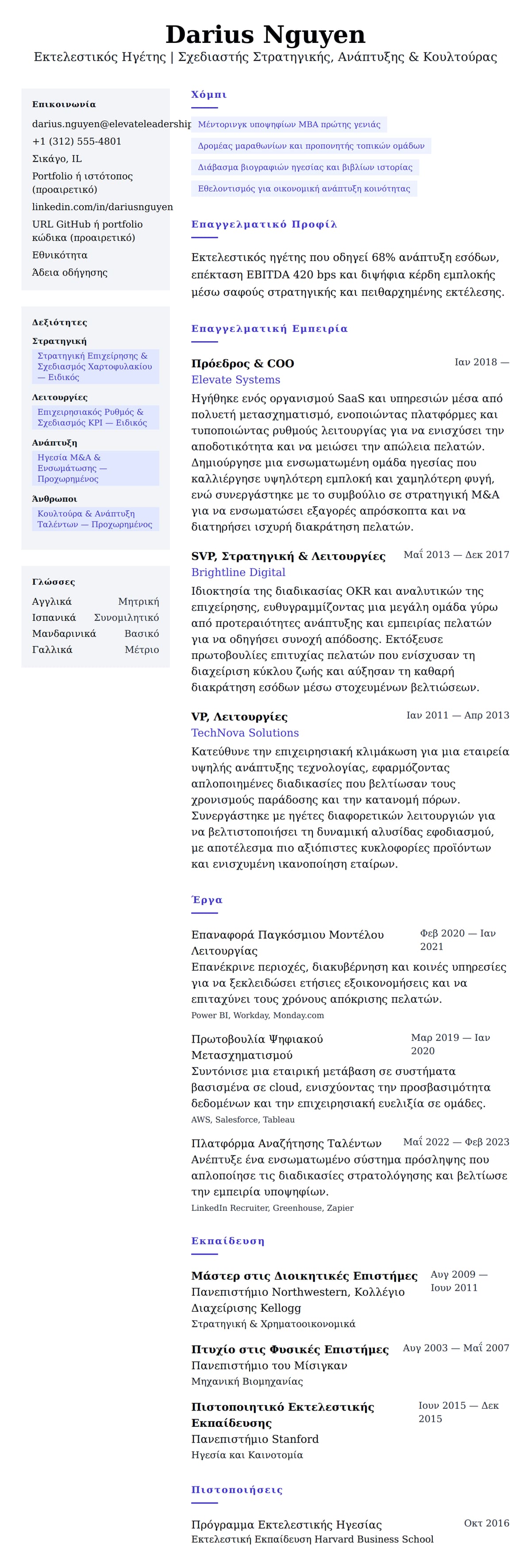 Προεπισκόπηση βιογραφικού για Παράδειγμα Βιογραφικού Εκτελεστικού Ηγέτη