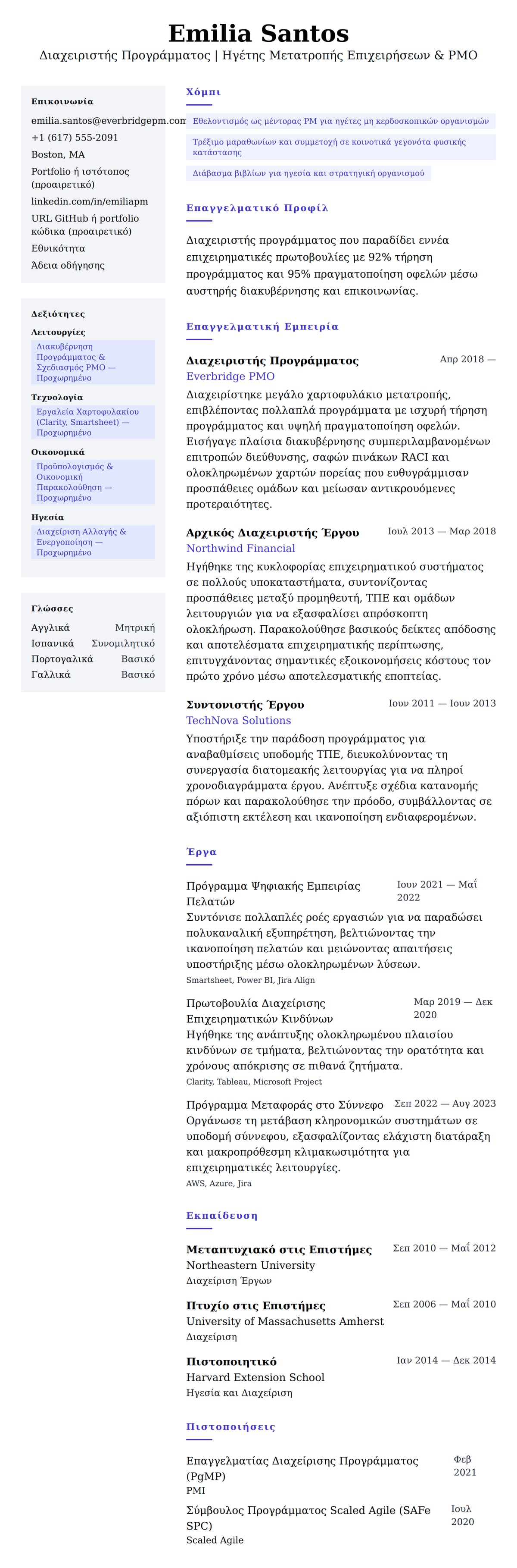 Προεπισκόπηση βιογραφικού για Παράδειγμα Βιογραφικού Διαχειριστή Προγράμματος