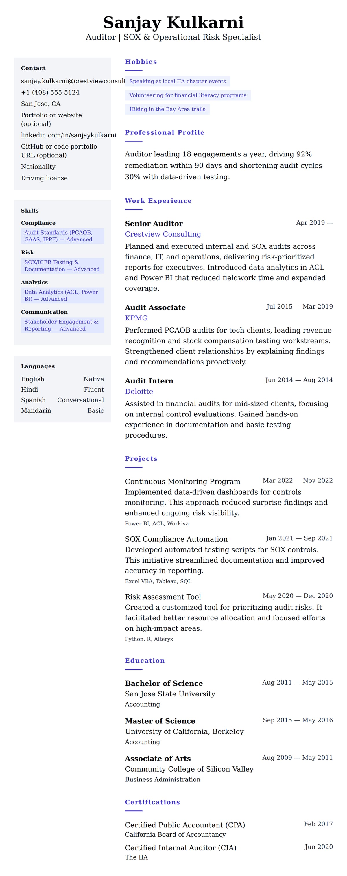 Resume preview for Auditor Resume Example
