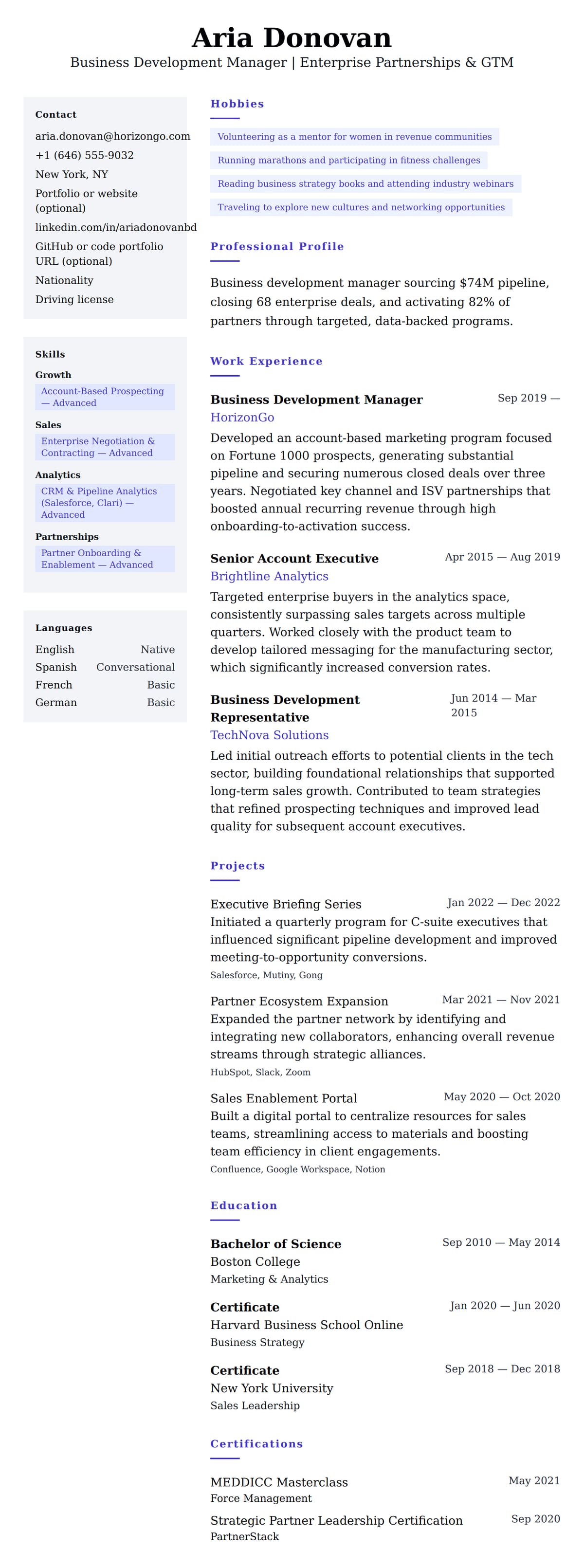 Resume preview for Business Development Manager Resume Example