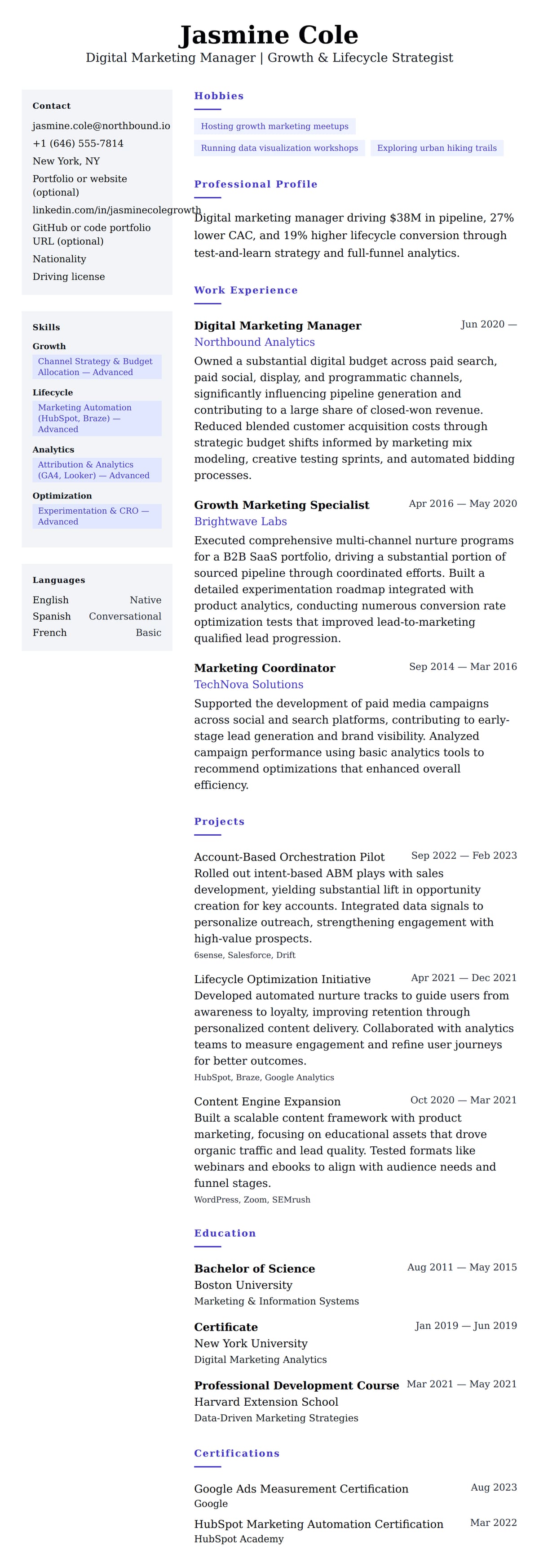 Resume preview for Digital Marketing Manager Resume Example